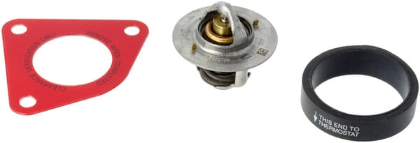 Thermostat Maxxum — réf. 47616858