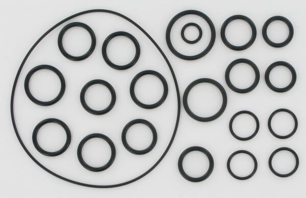 Kit joint toriques AR202/252 — réf. AR2409