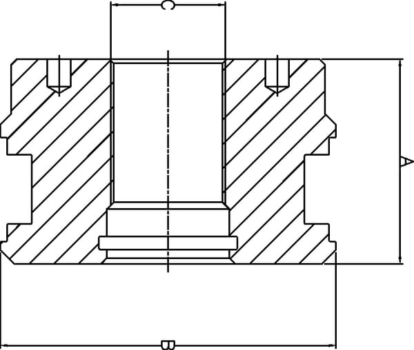 Piston DS25 alés. 160 vue 2