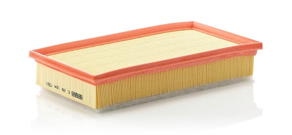 Air Filter · réf. C29124