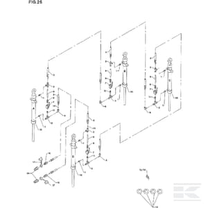 TR_KONG38_FIG_25Y_EV