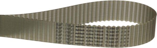 Courroie dentée ZRM 120T - 25 mm — réf. T560025