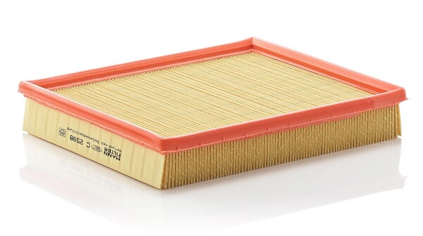 Air Filter · réf. C2598