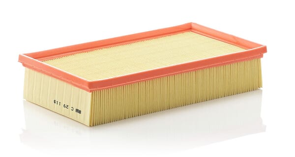 Air Filter · réf. C29118