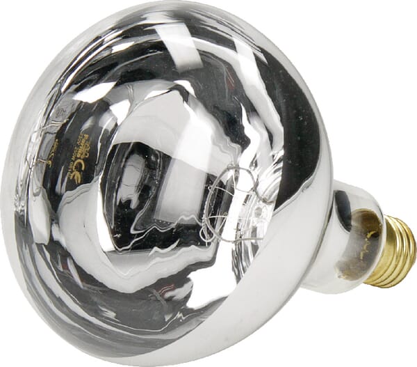 Infralampa 250 W, čirá