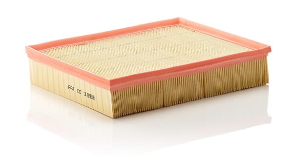 Air Filter · réf. C30198