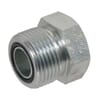 Sealing plugs ORFS