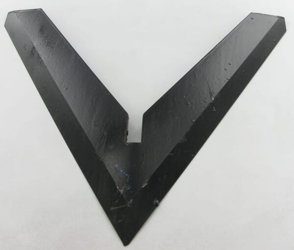 Šípová radlička bez slupice