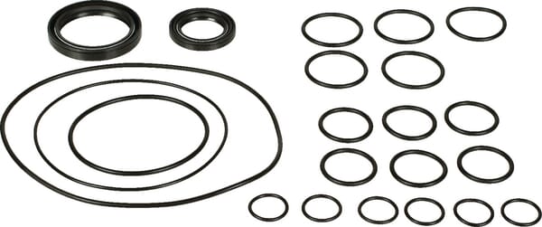 Kit remplacem. pompes Bertoli — réf. 359880973