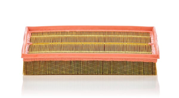 Air Filter · réf. C33189