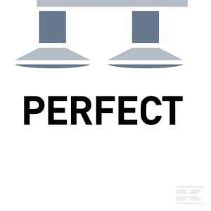 D_PERFECT