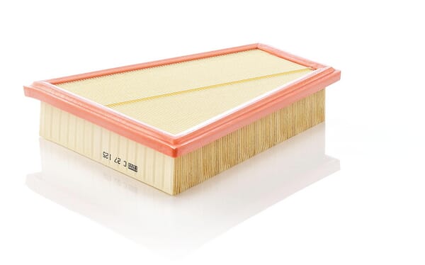 Air Filter · réf. C27125