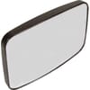 Mirror Head