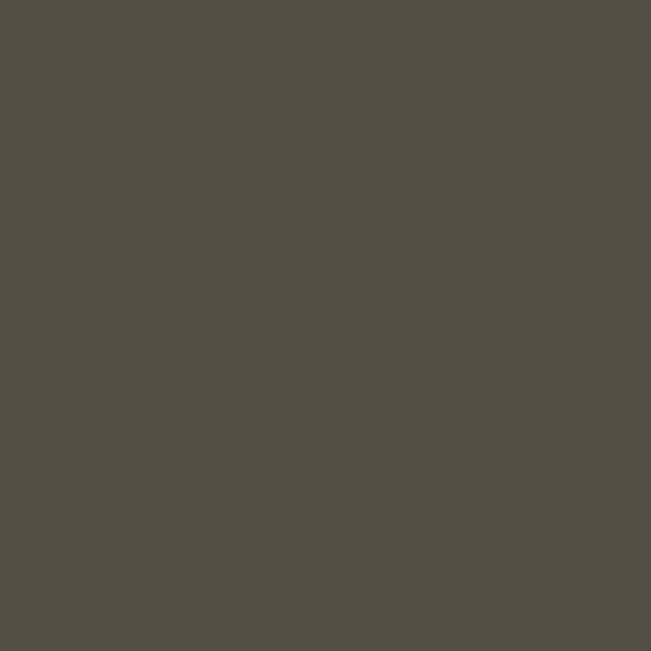 RAL 6014 vert olive mat 1 L vue 2