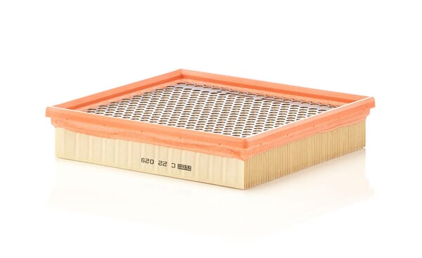 Air Filter · réf. C22029