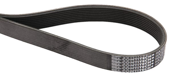 Courroie trapézoïdale Poly-V — réf. 50203101