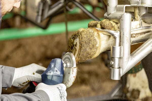 Kotouč na paznehty 6 Cut / 3 Cut