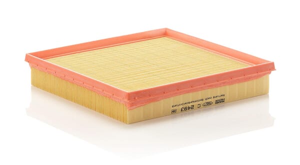 Air Filter · réf. C2493