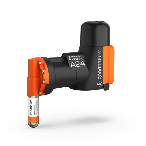 A24 Pasti na krysy a myši, startovací sady