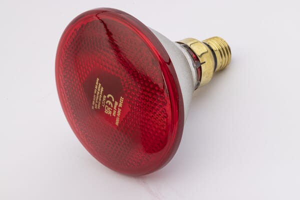 Infražárovka 100 W červená, Econ