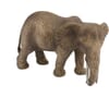 14761SCH Afrikansk elefant, hun