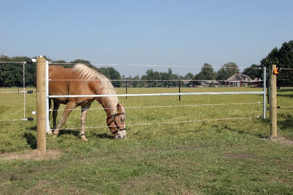 Brána ohradníku, nastavitelná, s přívodem proudu