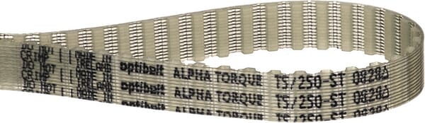 Courroie dentée ZRM 50T - 10 mm — réf. T525010