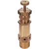 Safety valve Mini