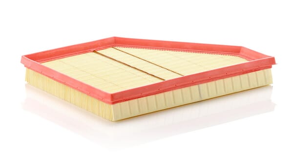 Air Filter · réf. C30901