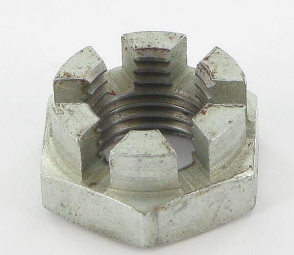 Korunová matice Busatis